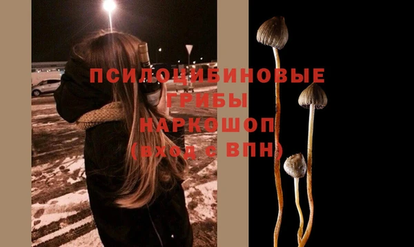 каннабис Абаза