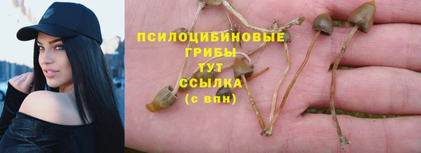 каннабис Абаза